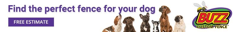 Find the Perfect Fence for your Dog
